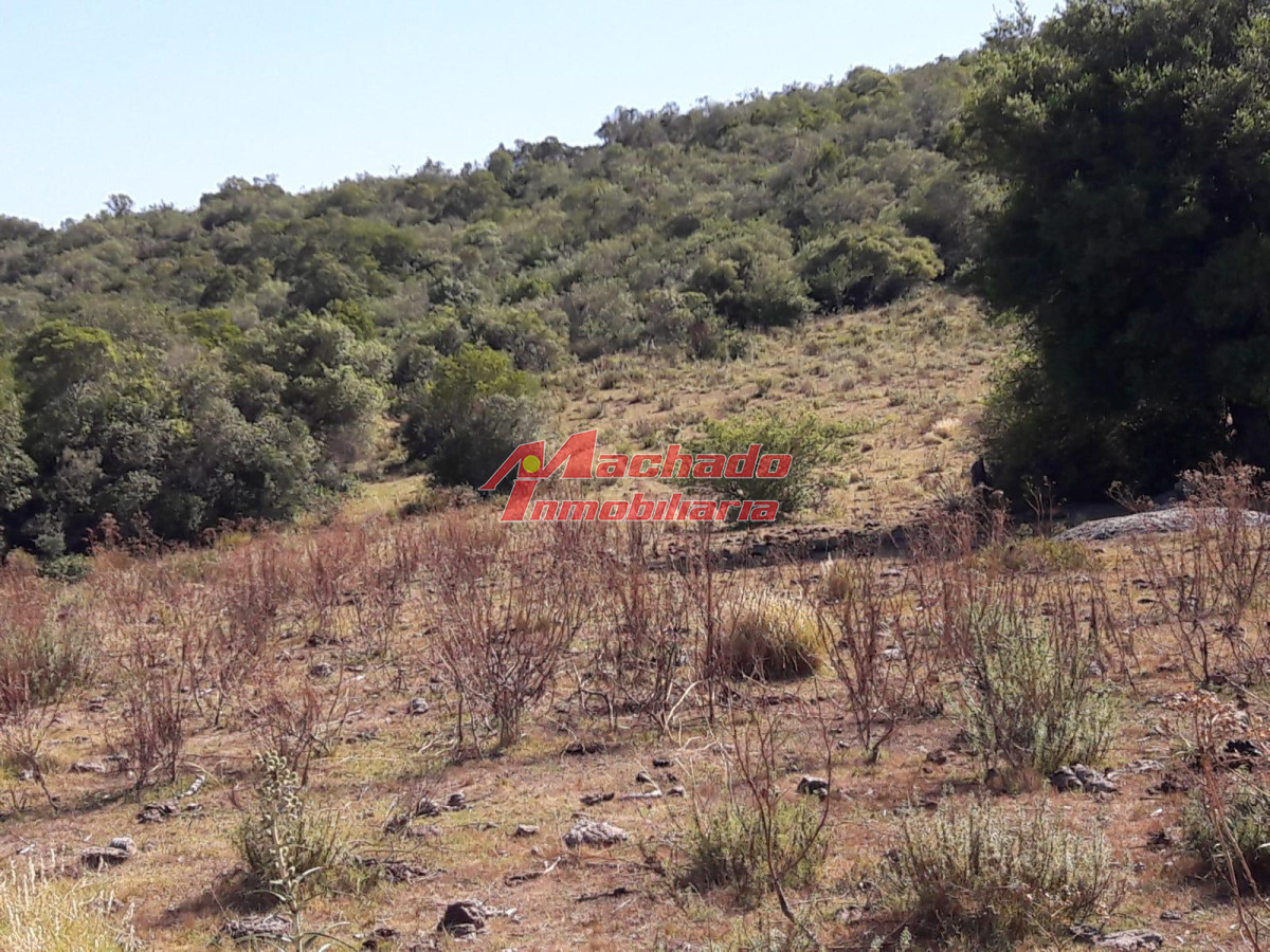 Campo en venta cerca de Aigua - GoPunta - Portal Inmobiliario de Punta del Este - Maldonado