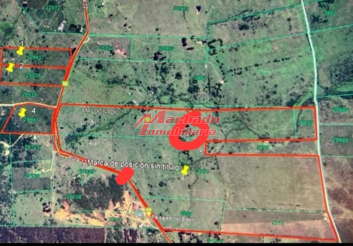 excelente campo de 108 Hectareas - GoPunta - Portal Inmobiliario de Punta del Este - Maldonado