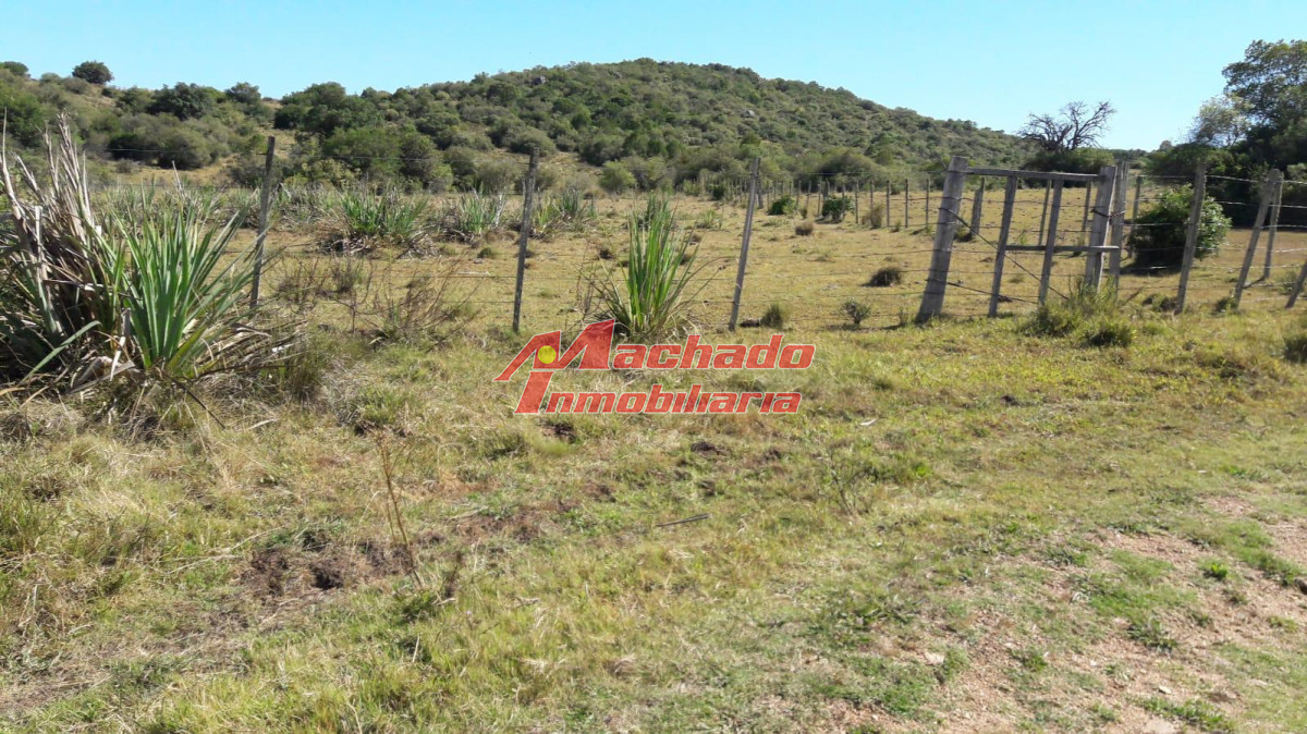 Campo en venta cerca de Aigua - GoPunta - Portal Inmobiliario de Punta del Este - Maldonado