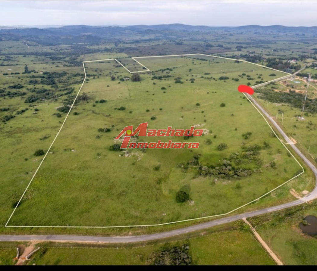 excelente campo de 108 Hectareas - GoPunta - Portal Inmobiliario de Punta del Este - Maldonado