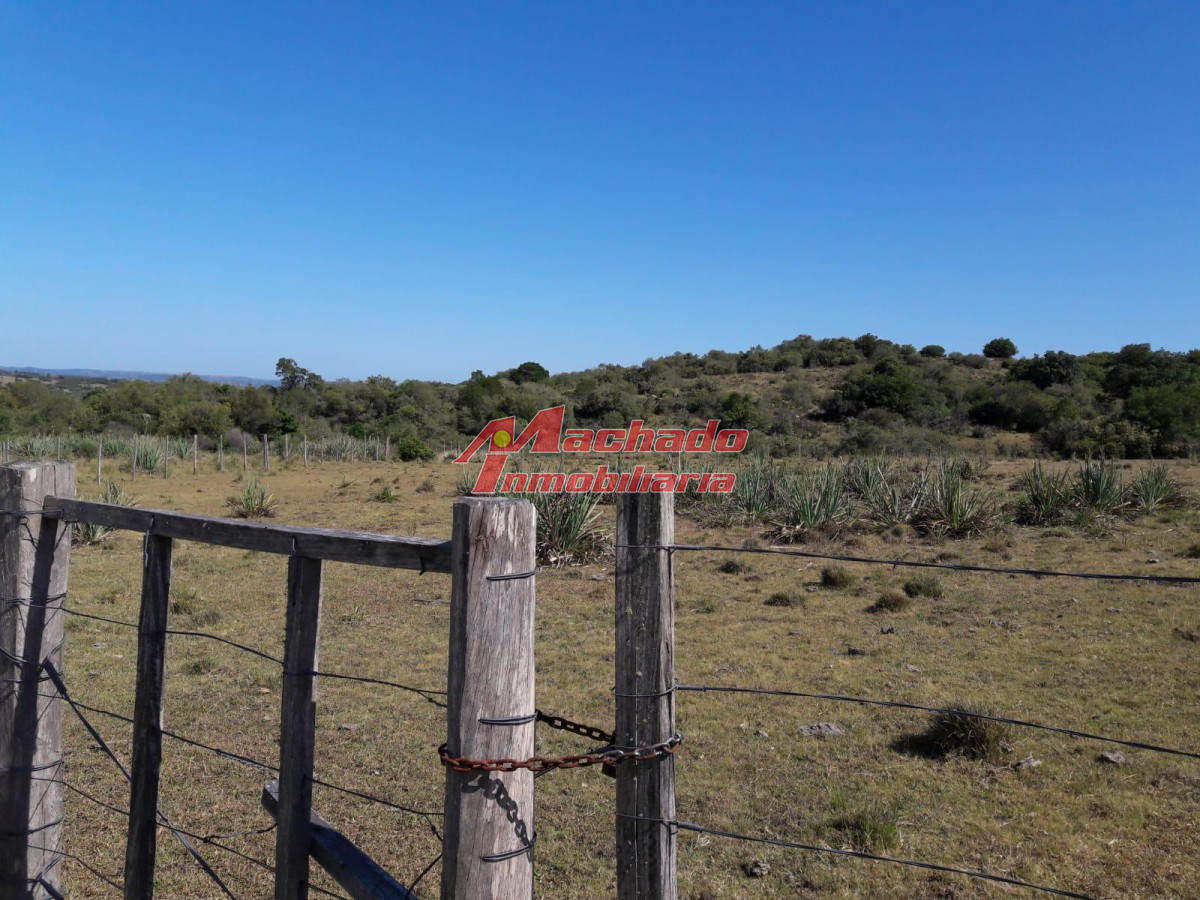 Campo en venta cerca de Aigua - GoPunta - Portal Inmobiliario de Punta del Este - Maldonado