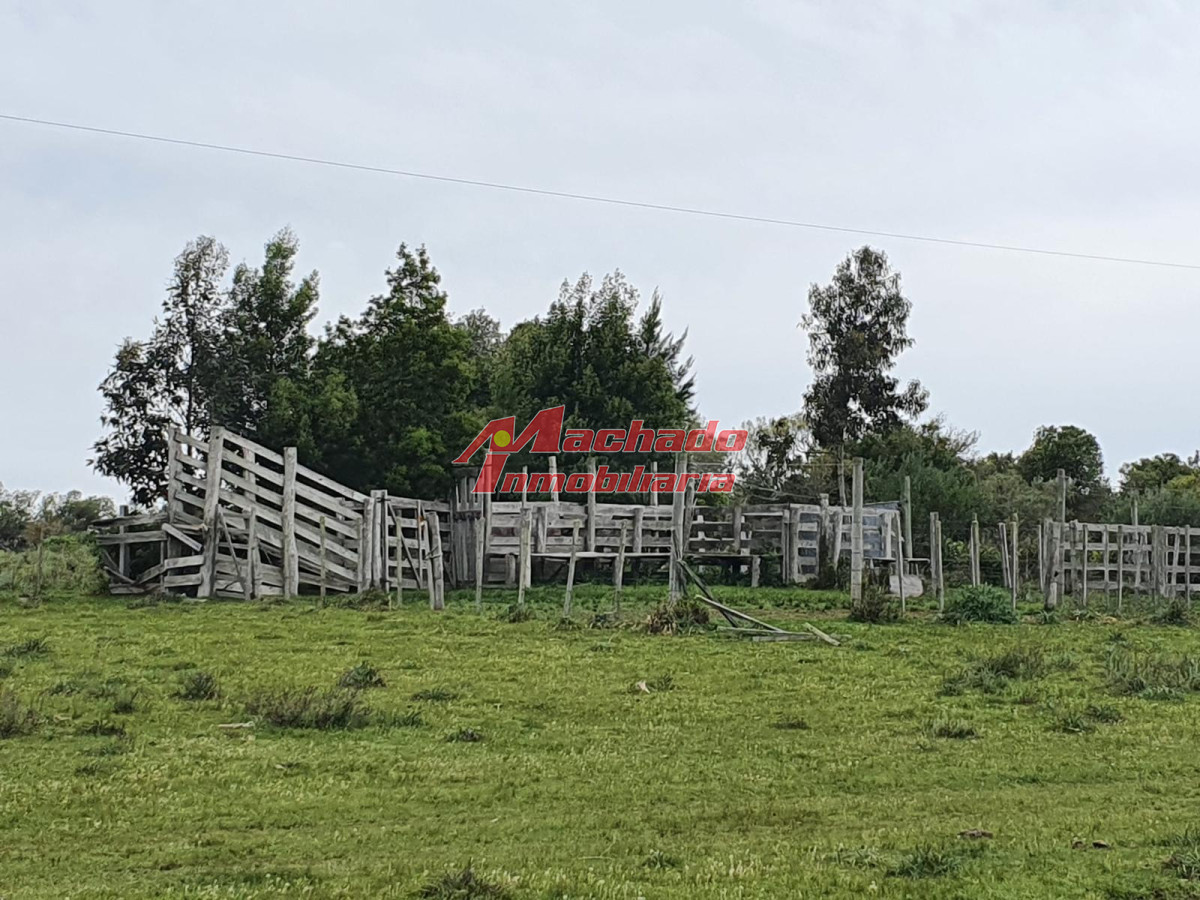Campo en venta cerca de Aigua - GoPunta - Portal Inmobiliario de Punta del Este - Maldonado