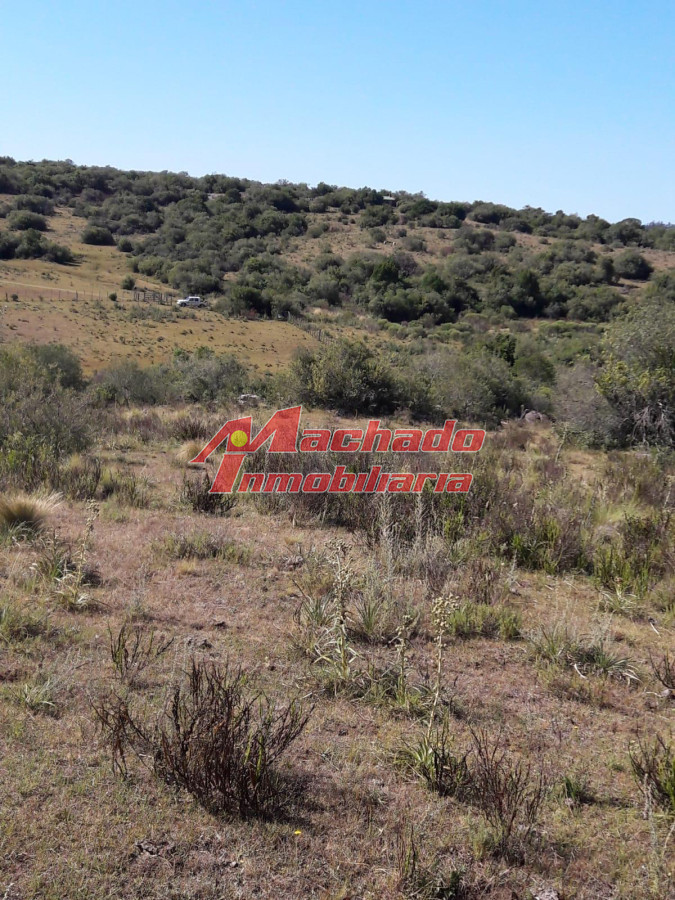 Campo en venta cerca de Aigua - GoPunta - Portal Inmobiliario de Punta del Este - Maldonado
