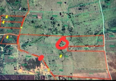 excelente campo de 108 Hectareas