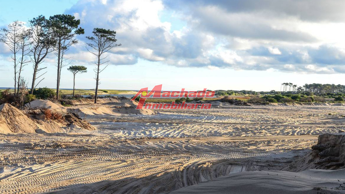 Venta De Terreno En Chihuahua, Punta Ballena