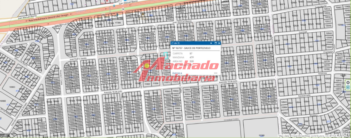 Sauce de Portezuelo - GoPunta - Portal Inmobiliario de Punta del Este - Maldonado