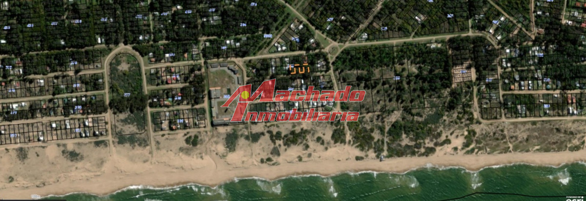 Sauce de Portezuelo - GoPunta - Portal Inmobiliario de Punta del Este - Maldonado