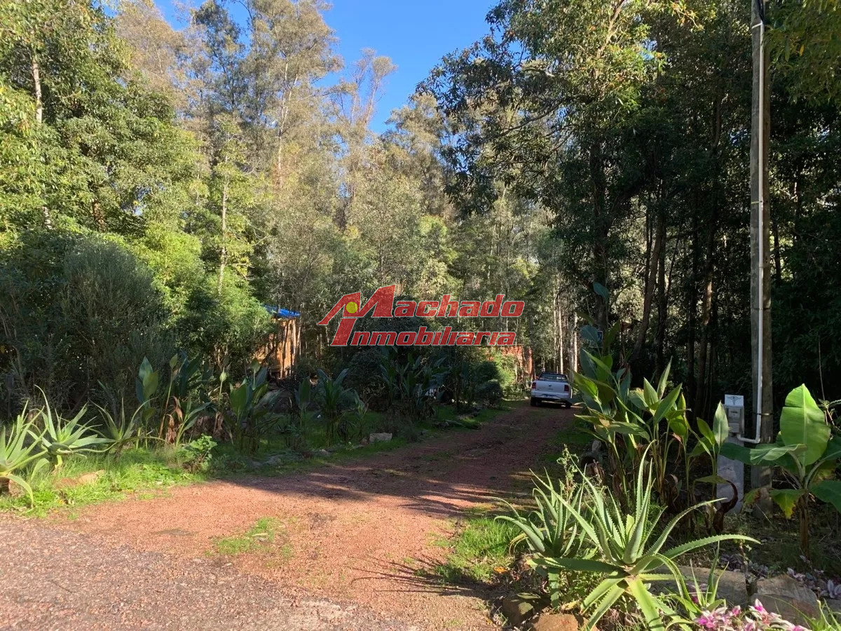 Las Cumbres - GoPunta - Portal Inmobiliario de Punta del Este - Maldonado