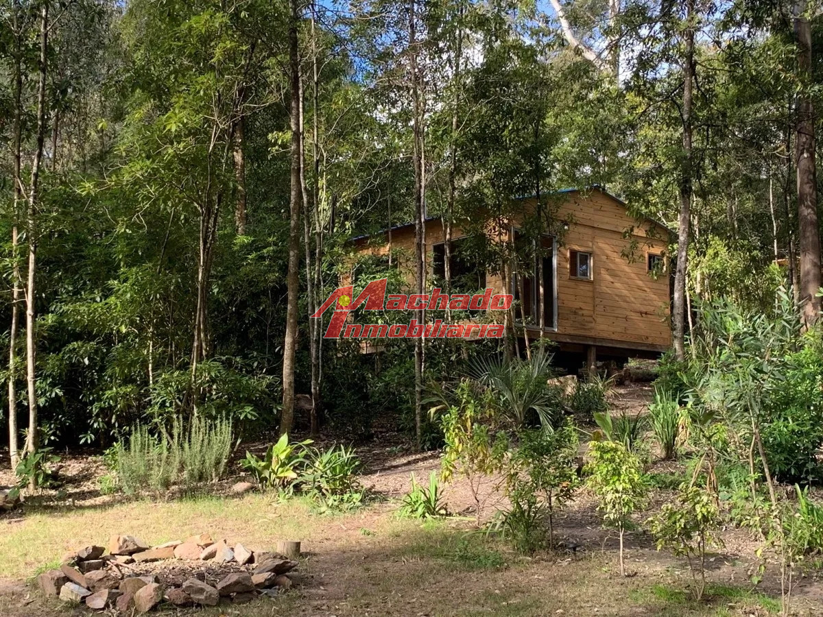Las Cumbres - GoPunta - Portal Inmobiliario de Punta del Este - Maldonado