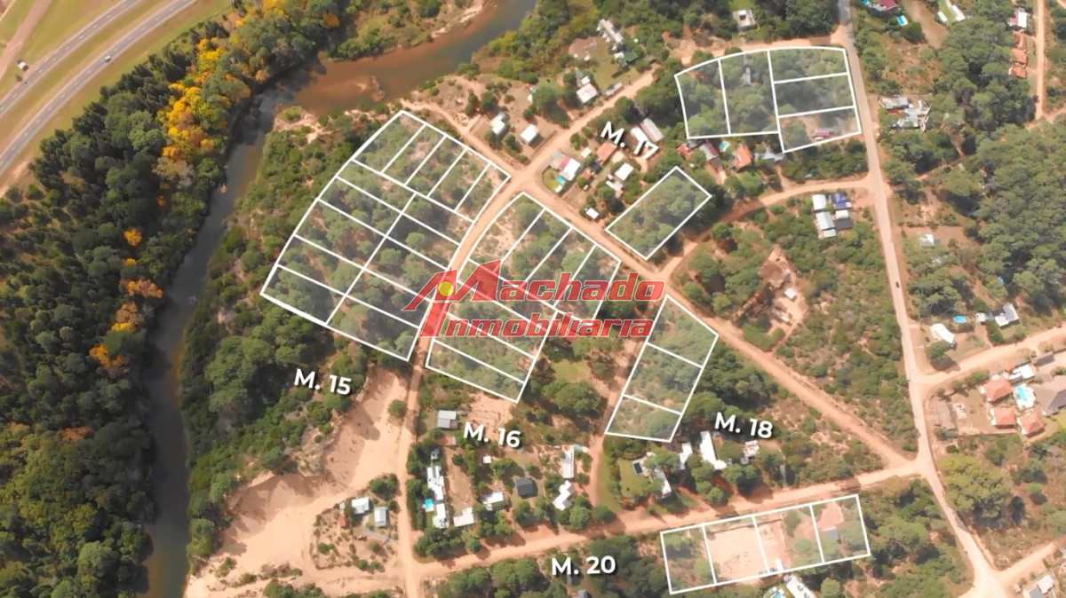 Chihuahua - GoPunta - Portal Inmobiliario de Punta del Este - Maldonado