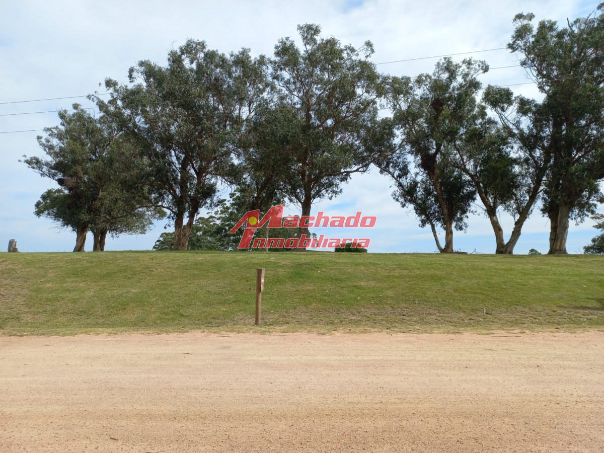 El Quijote - GoPunta - Portal Inmobiliario de Punta del Este - Maldonado