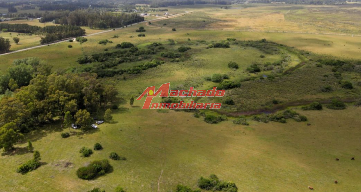 Camino Eguzquiza - GoPunta - Portal Inmobiliario de Punta del Este - Maldonado