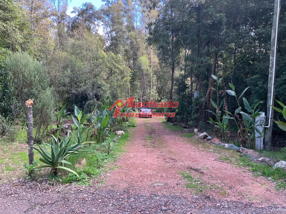 Las Cumbres - GoPunta - Portal Inmobiliario de Punta del Este - Maldonado