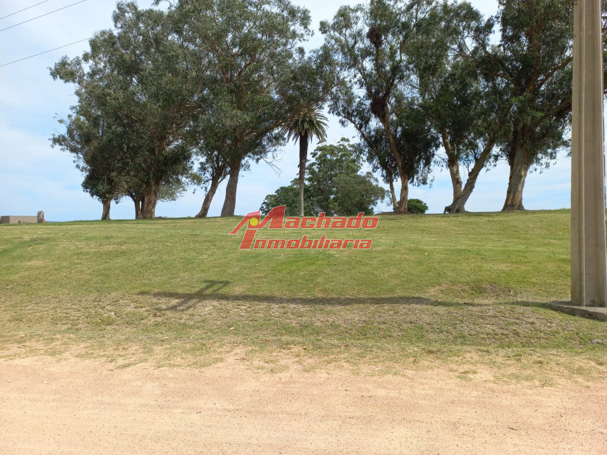 El Quijote - GoPunta - Portal Inmobiliario de Punta del Este - Maldonado