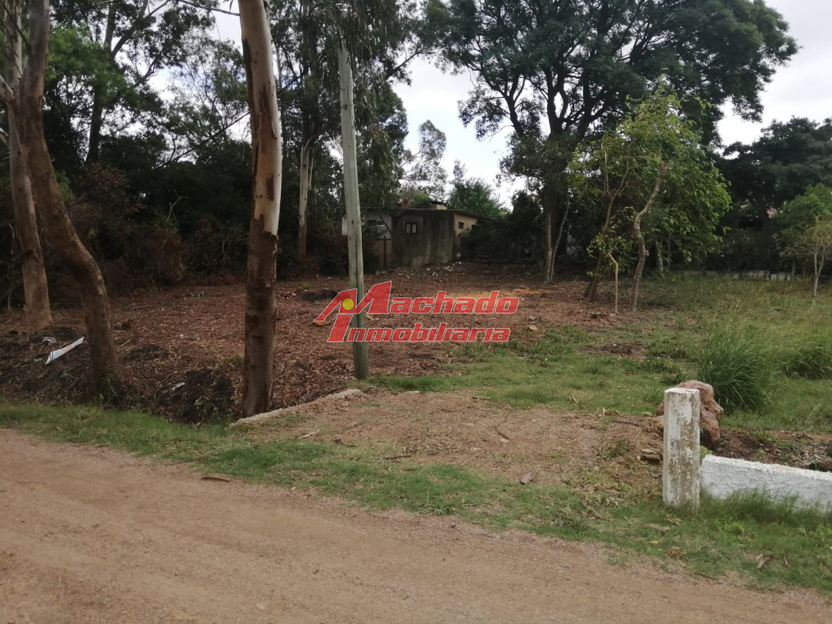 Playa Hermosa - GoPunta - Portal Inmobiliario de Punta del Este - Maldonado