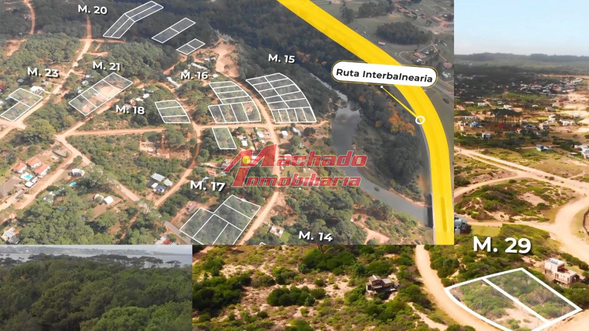 Chihuahua - GoPunta - Portal Inmobiliario de Punta del Este - Maldonado