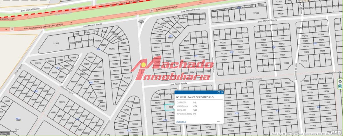 Sauce de Portezuelo - GoPunta - Portal Inmobiliario de Punta del Este - Maldonado
