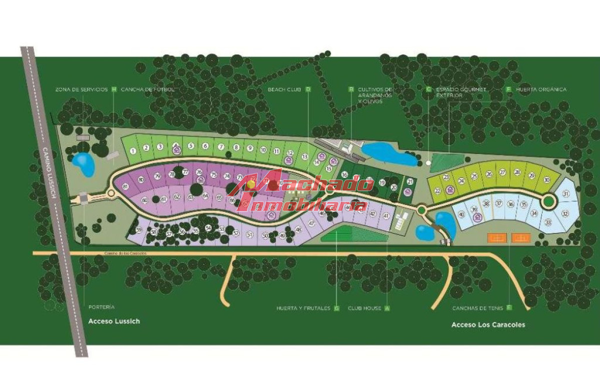 Mansa - GoPunta - Portal Inmobiliario de Punta del Este - Maldonado
