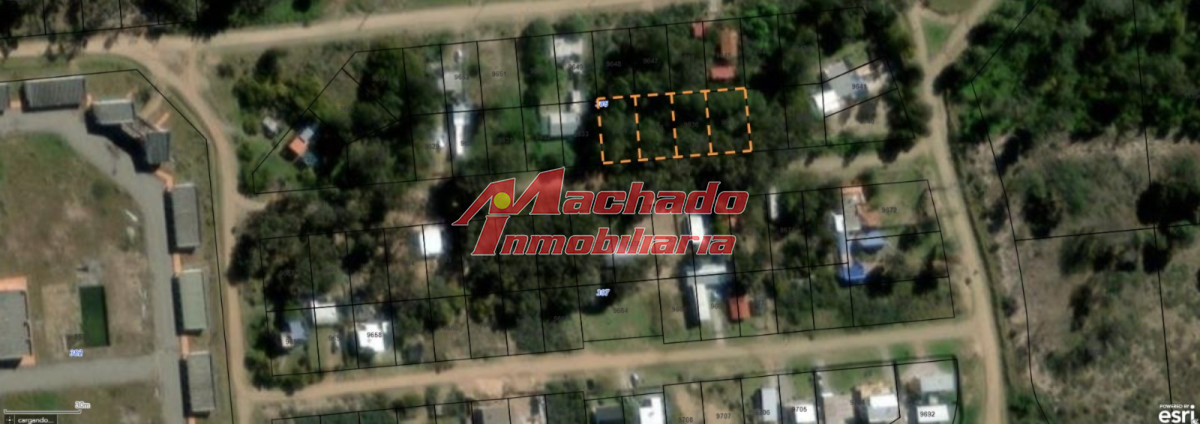 Sauce de Portezuelo - GoPunta - Portal Inmobiliario de Punta del Este - Maldonado