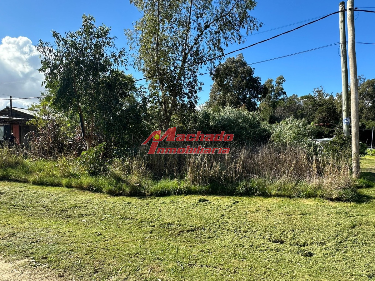 Sauce de Portezuelo - GoPunta - Portal Inmobiliario de Punta del Este - Maldonado