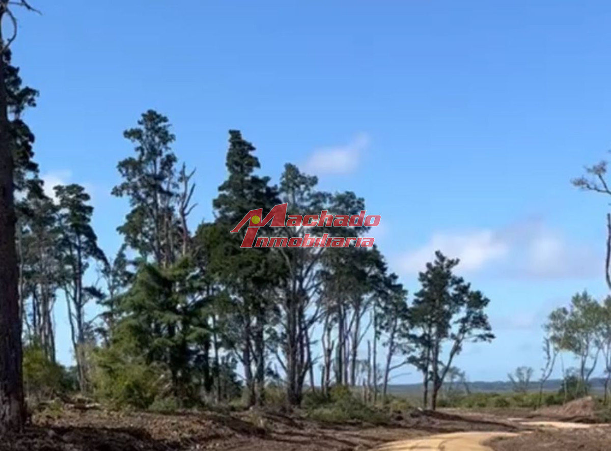 Camino Eguzquiza - GoPunta - Portal Inmobiliario de Punta del Este - Maldonado