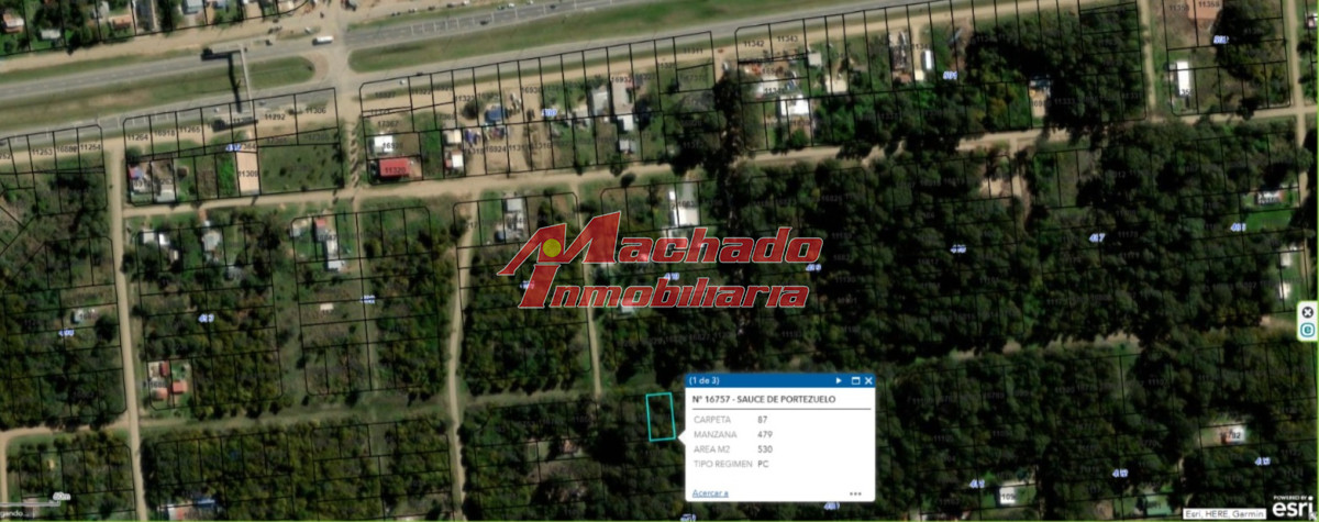 Sauce de Portezuelo - GoPunta - Portal Inmobiliario de Punta del Este - Maldonado