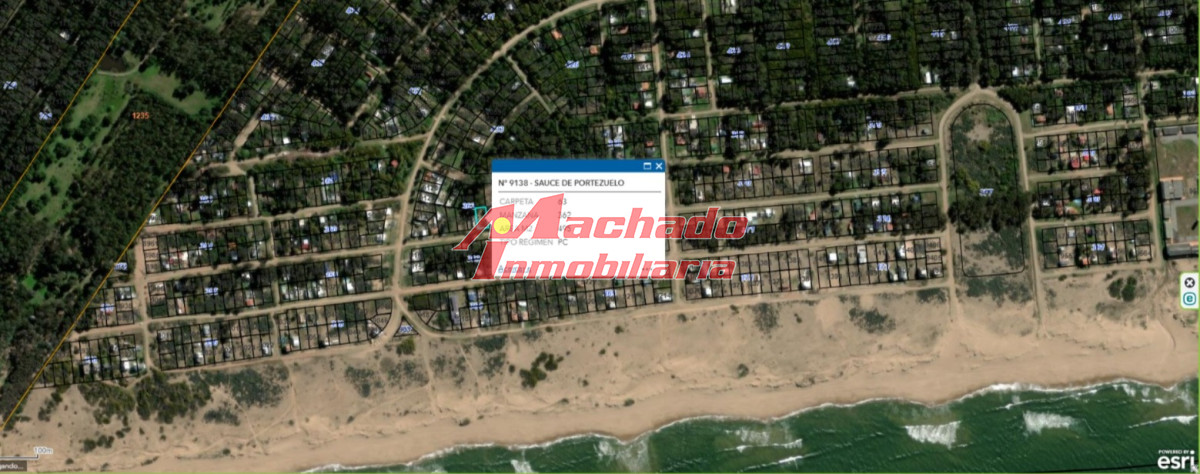 Sauce de Portezuelo - GoPunta - Portal Inmobiliario de Punta del Este - Maldonado