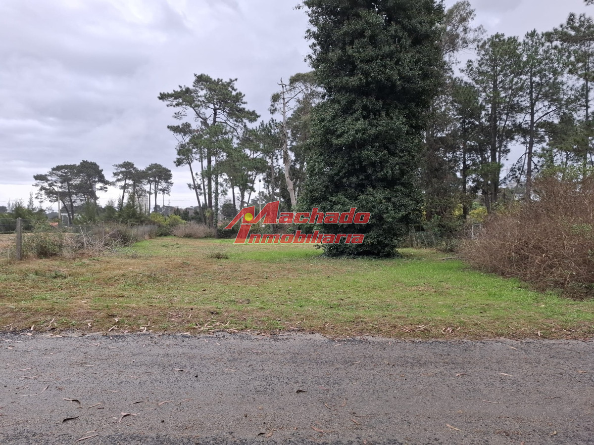 La Residence - GoPunta - Portal Inmobiliario de Punta del Este - Maldonado