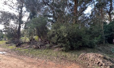 VENTA DE TERRENO EN SAUCE DE PORTEZUELO