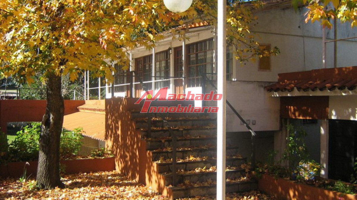 Punta Ballena - GoPunta - Portal Inmobiliario de Punta del Este - Maldonado