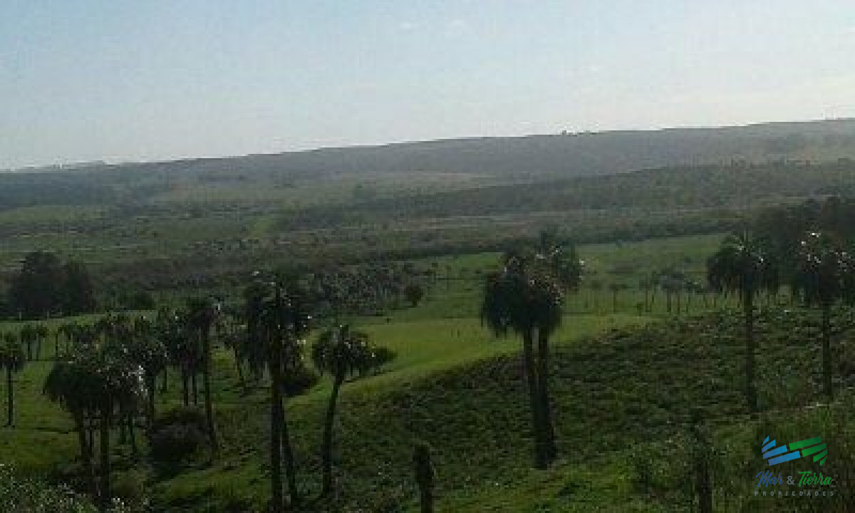 Campo en venta - GoPunta - Portal Inmobiliario de Punta del Este - Maldonado