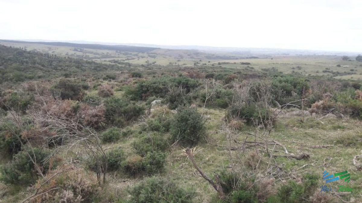 Campo en venta - GoPunta - Portal Inmobiliario de Punta del Este - Maldonado