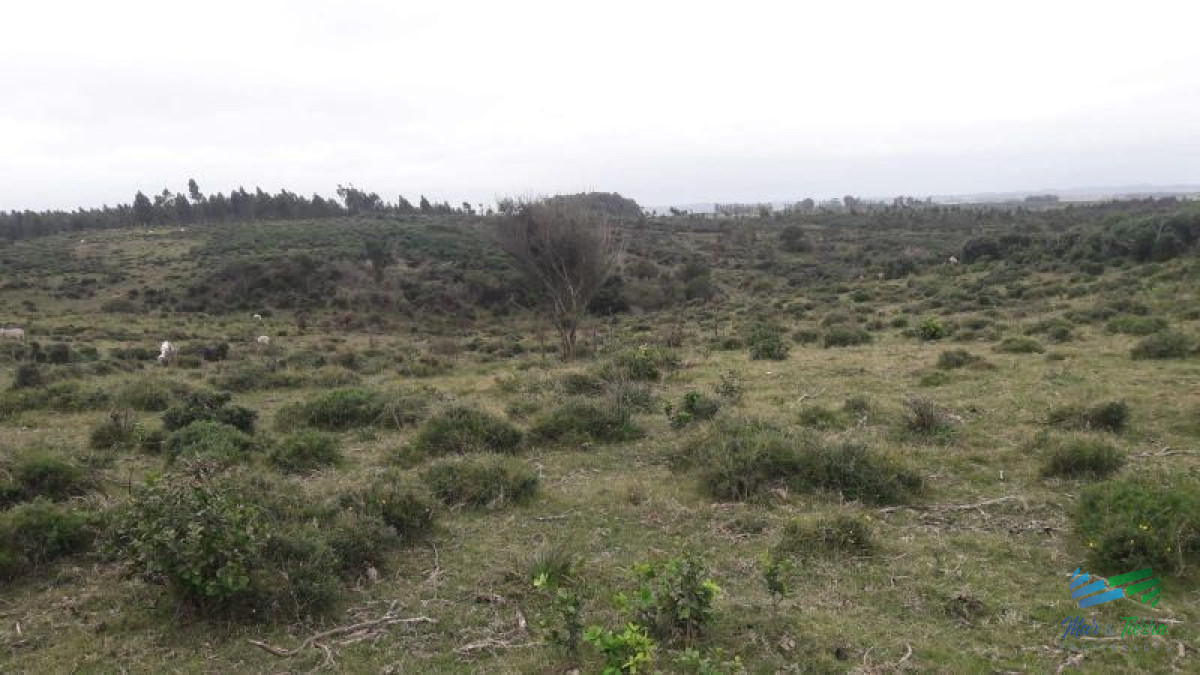 Campo Ref.4790 - Campo en venta  
