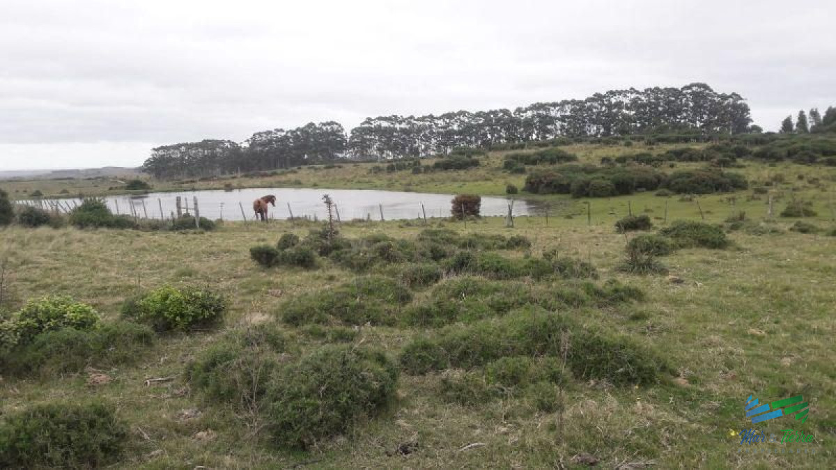 Campo en venta - GoPunta - Portal Inmobiliario de Punta del Este - Maldonado