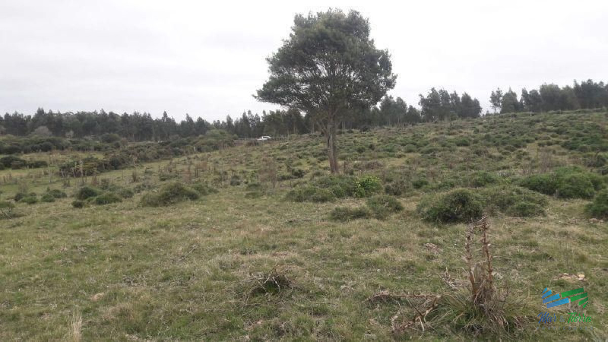 Campo en venta - GoPunta - Portal Inmobiliario de Punta del Este - Maldonado