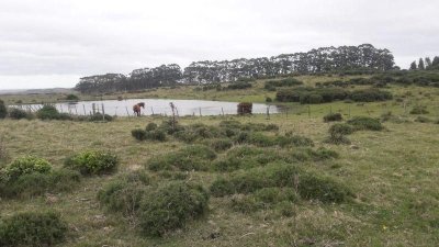 Campo en venta  