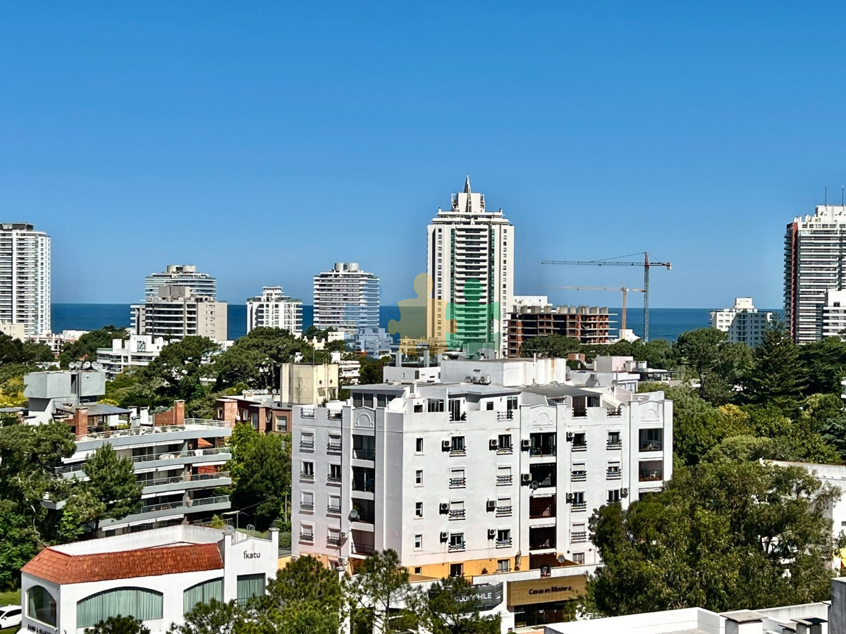 Aidy Grill - GoPunta - Portal Inmobiliario de Punta del Este - Maldonado