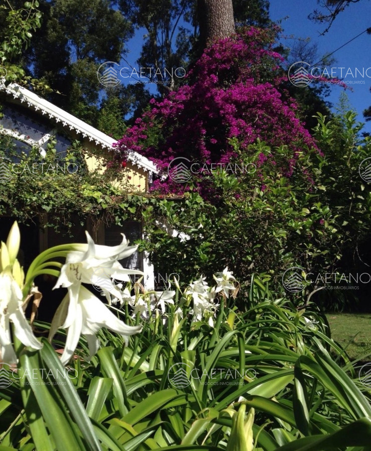 Pinares - GoPunta - Portal Inmobiliario de Punta del Este - Maldonado