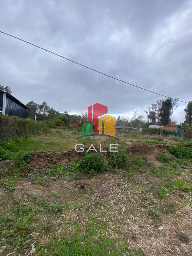 Terreno ID.5173 - OPORTUNUIDAD LOTE EN VENTA EN UNA DE LA ZONAS DE MAYOR CRECIMIENTO EN LA BARRA EL TESORO 