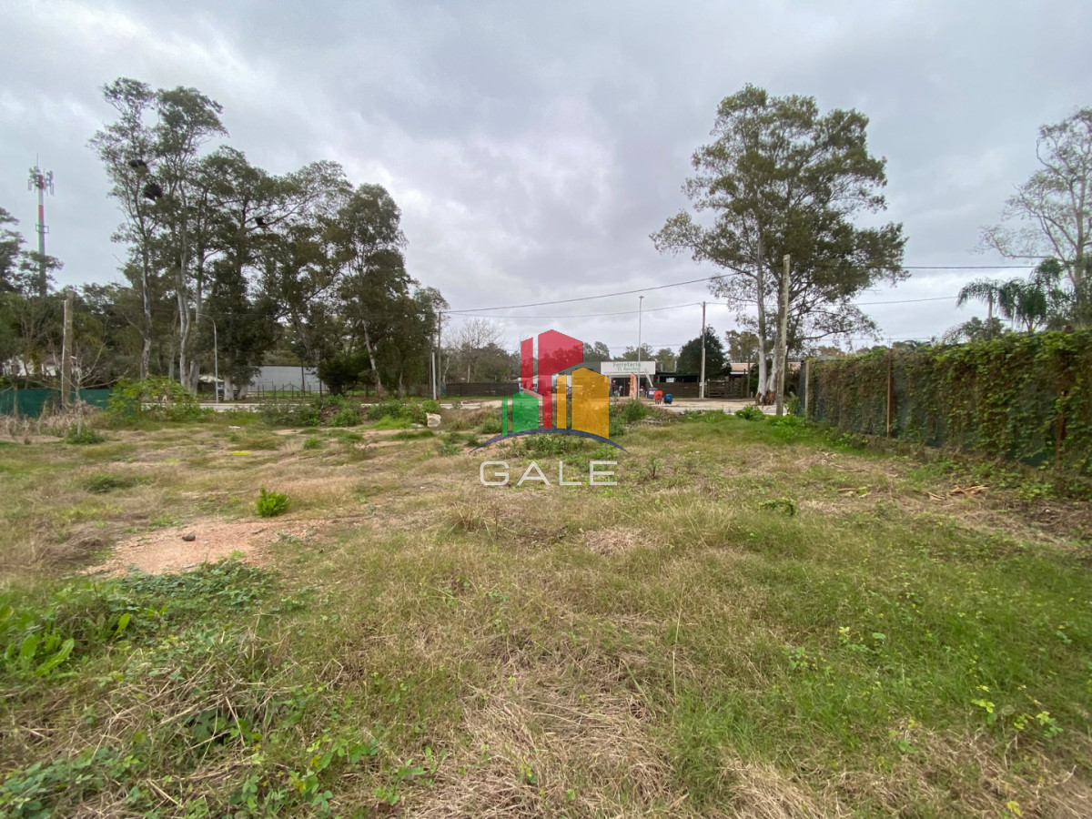 Terreno ID.5173 - OPORTUNUIDAD LOTE EN VENTA EN UNA DE LA ZONAS DE MAYOR CRECIMIENTO EN LA BARRA EL TESORO 