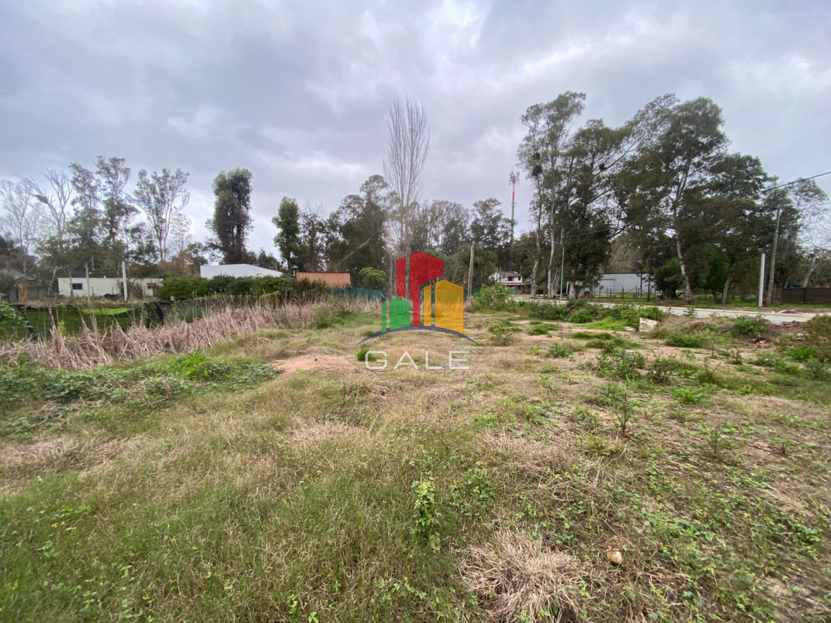 Terreno ID.5173 - OPORTUNUIDAD LOTE EN VENTA EN UNA DE LA ZONAS DE MAYOR CRECIMIENTO EN LA BARRA EL TESORO 