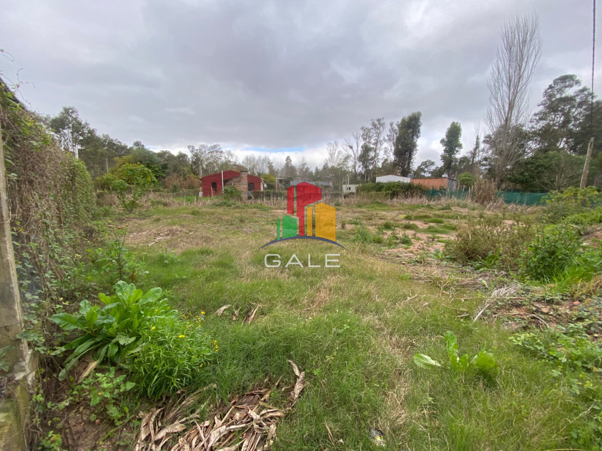 Terreno ID.5173 - OPORTUNUIDAD LOTE EN VENTA EN UNA DE LA ZONAS DE MAYOR CRECIMIENTO EN LA BARRA EL TESORO 