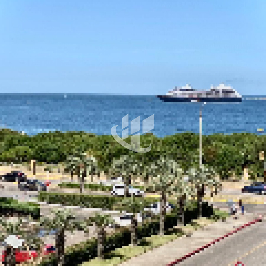 Apartamento ID.150 - Venta de Apartamento 1 DORMITORIO en Punta del Este, Playa Mansa 