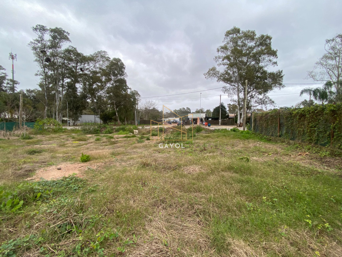 Terreno ID.1482 - OPORTUNUIDAD LOTE EN VENTA EN UNA DE LA ZONAS DE MAYOR CRECIMIENTO EN LA BARRA EL TESORO 