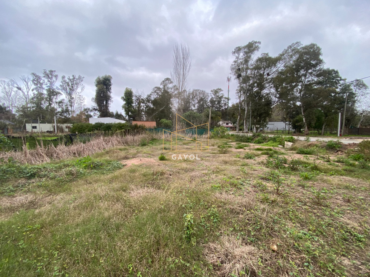 Terreno ID.1482 - OPORTUNUIDAD LOTE EN VENTA EN UNA DE LA ZONAS DE MAYOR CRECIMIENTO EN LA BARRA EL TESORO 