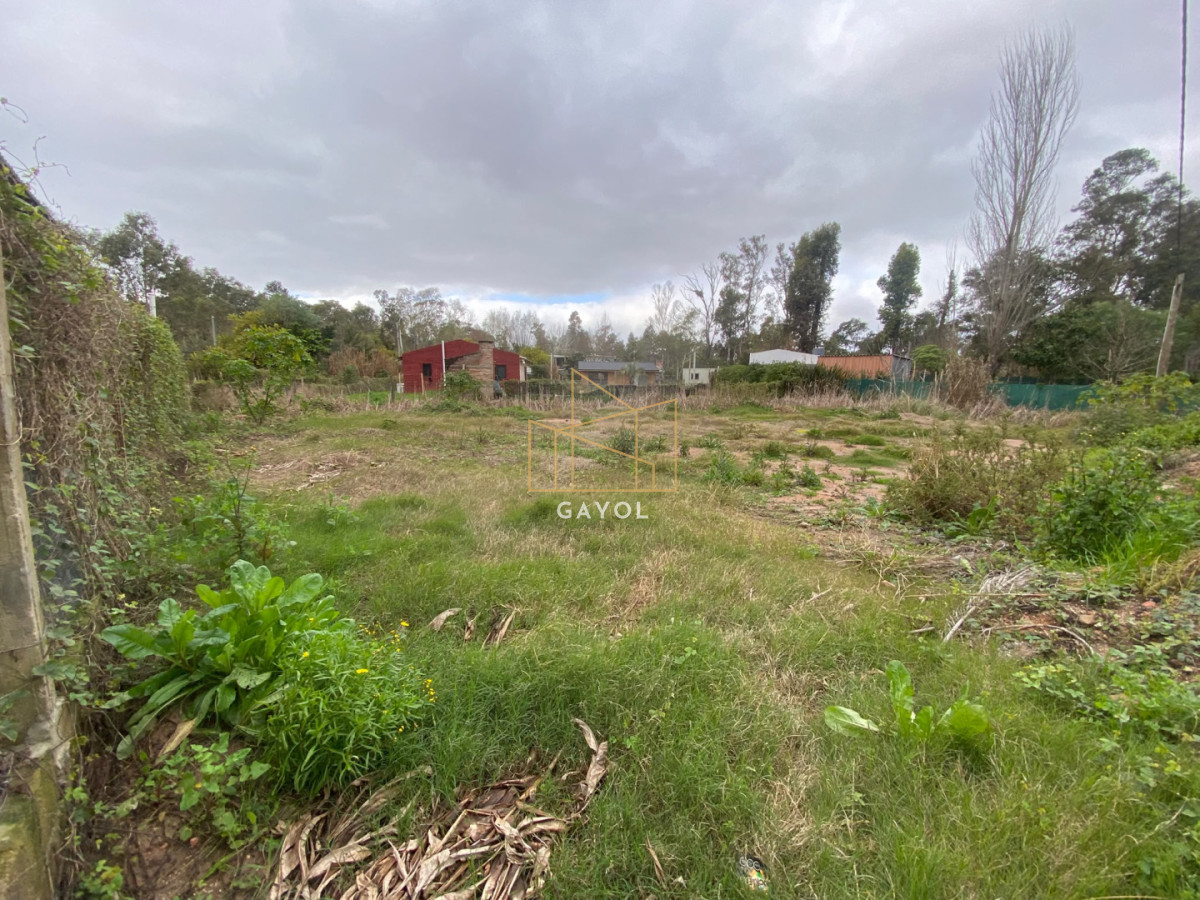 Terreno ID.1482 - OPORTUNUIDAD LOTE EN VENTA EN UNA DE LA ZONAS DE MAYOR CRECIMIENTO EN LA BARRA EL TESORO 