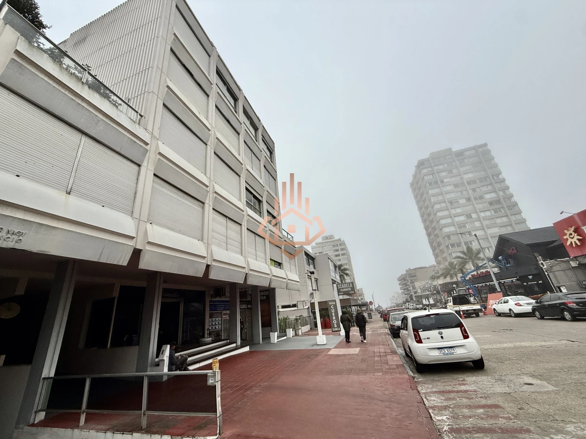 Apartamento de 1 dormitorios y medio en la peninsula.