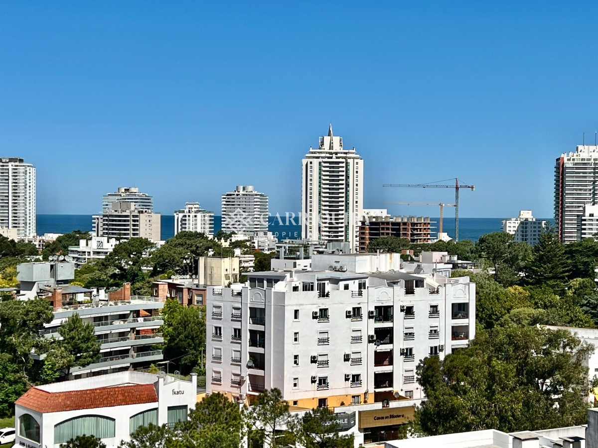 Aidy Grill - GoPunta - Portal Inmobiliario de Punta del Este - Maldonado