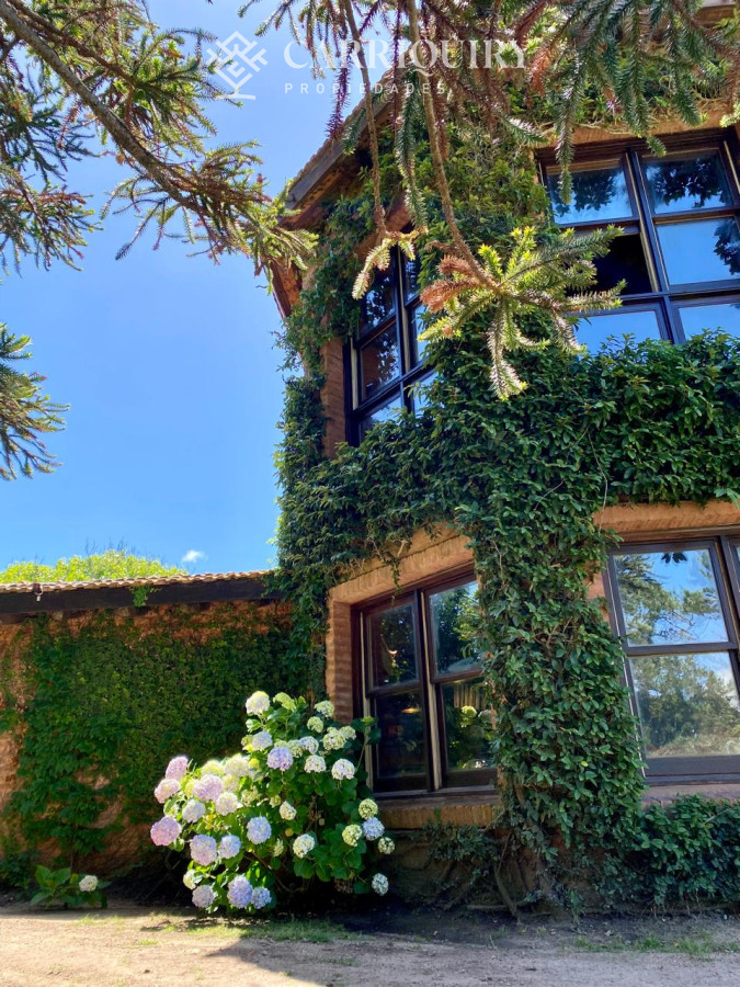 Montoya - GoPunta - Portal Inmobiliario de Punta del Este - Maldonado