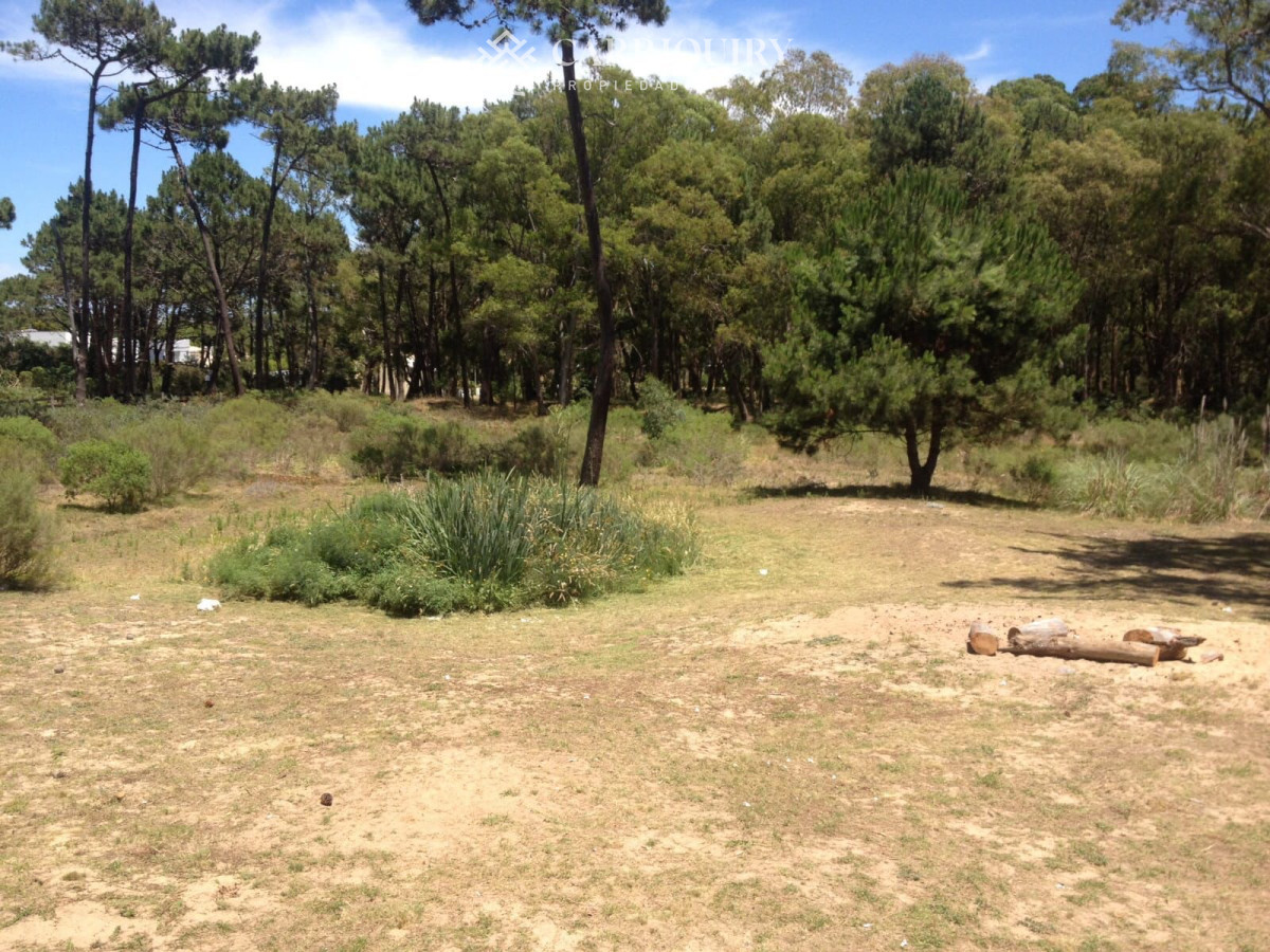 Casa ID.8099/Alquiler-temporada,-4-dormitorios,-El-Chorro--Manantiales- - Casa en alquiler en La Barra. 3 dormitorios y 2 baños